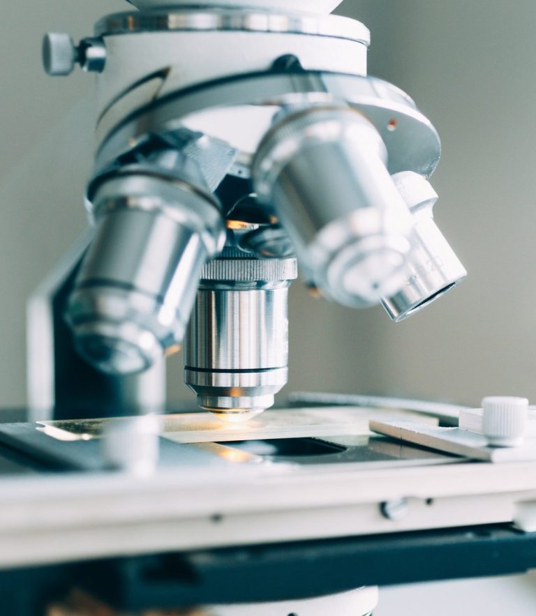 Mikroskop Dermatopathologie
